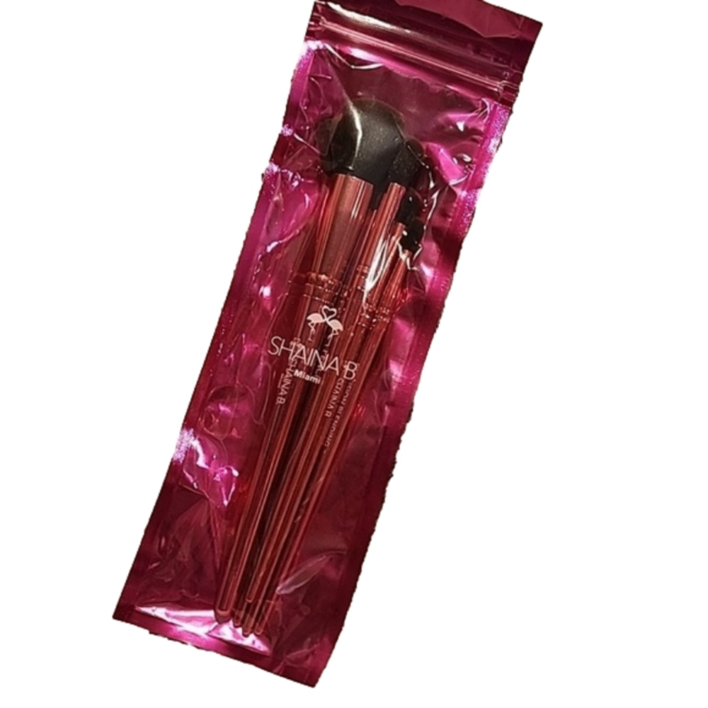 Shaina B brush set
